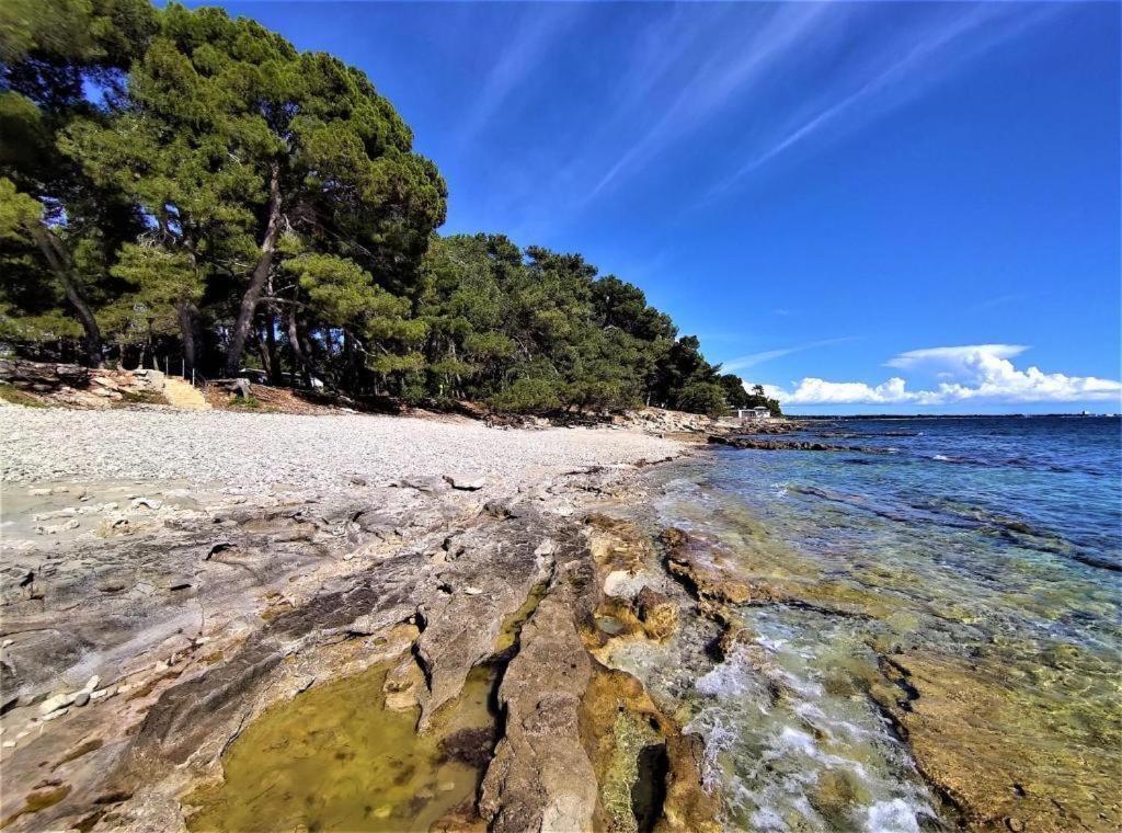 San Valentino Hotel Bašanija Eksteriør billede
